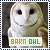 barn owl fanlisting