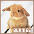 bunnies and rabbits fanlisting