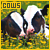 cows fanlisting