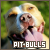 pitbulls fanlisting