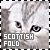 scottish fold cat fanlisting