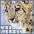snow leopard fanlisting